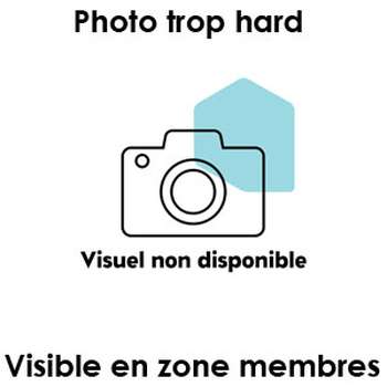 je souhaite un rapport anal sur Poitiers